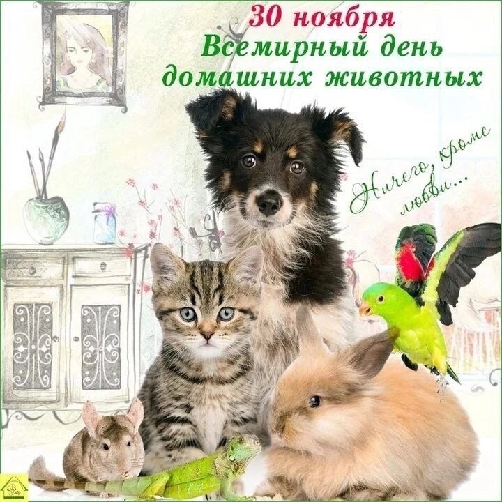 Всемирный день домашних животных.