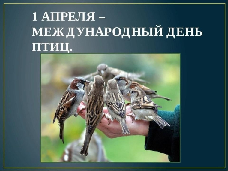 Всемирный день птиц.