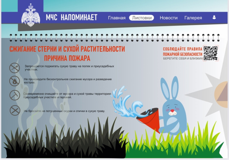 Сухая растительность.